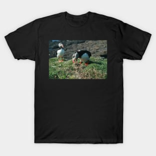 Tug o War T-Shirt